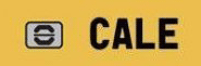 Zendesk CALE Parking Case Study